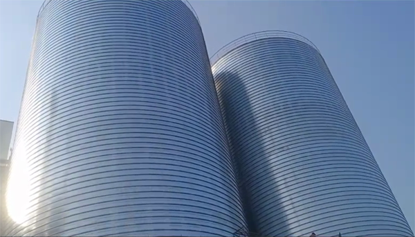 博乐2座混凝土高架卷板仓